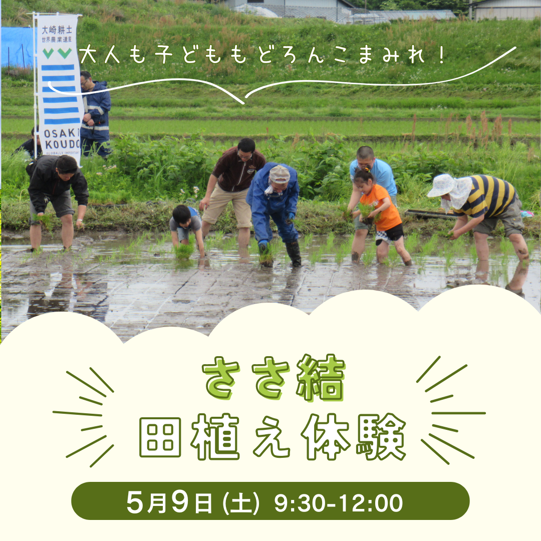 田植え体験2026