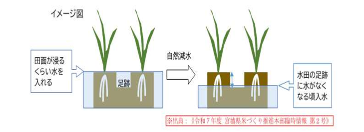 飽水管理のイメージ図