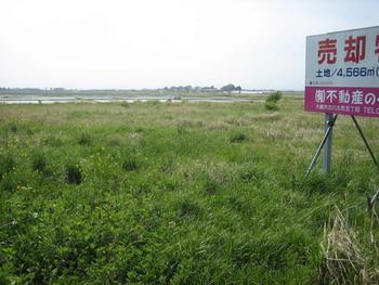 青空の下、雑草でいっぱいの更地物件の写真