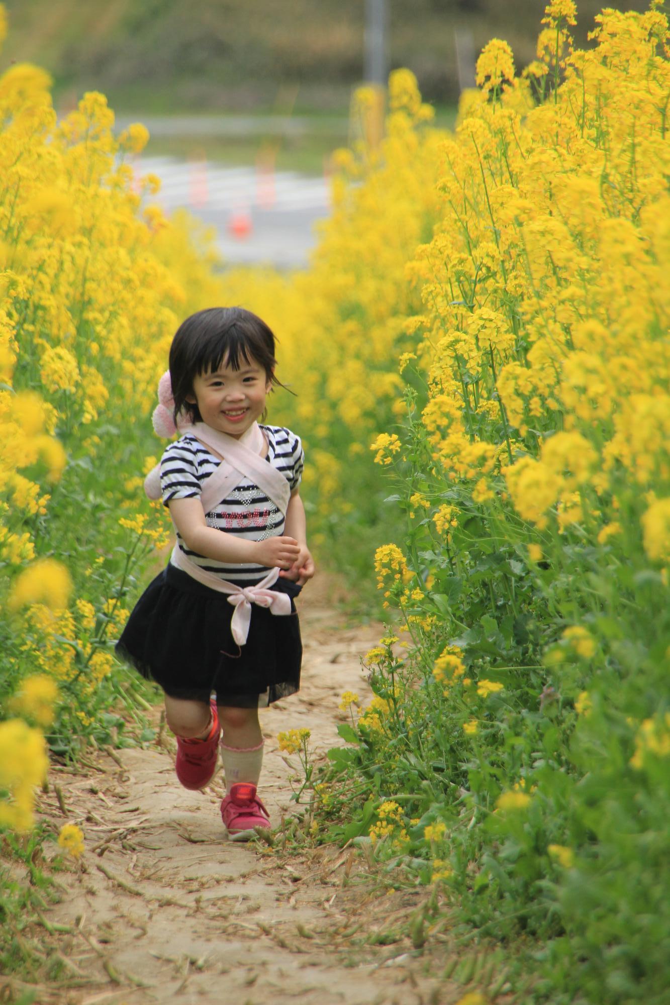 一般部門特別賞（菜の花も際立つで賞）【菜の花畑を駆け抜けて】