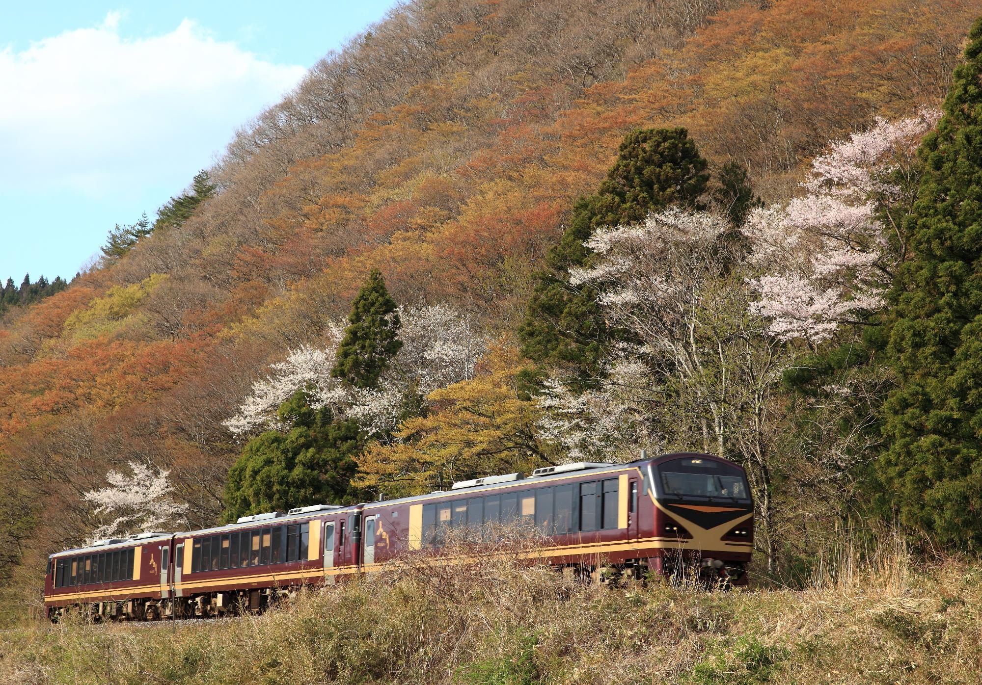みのり号