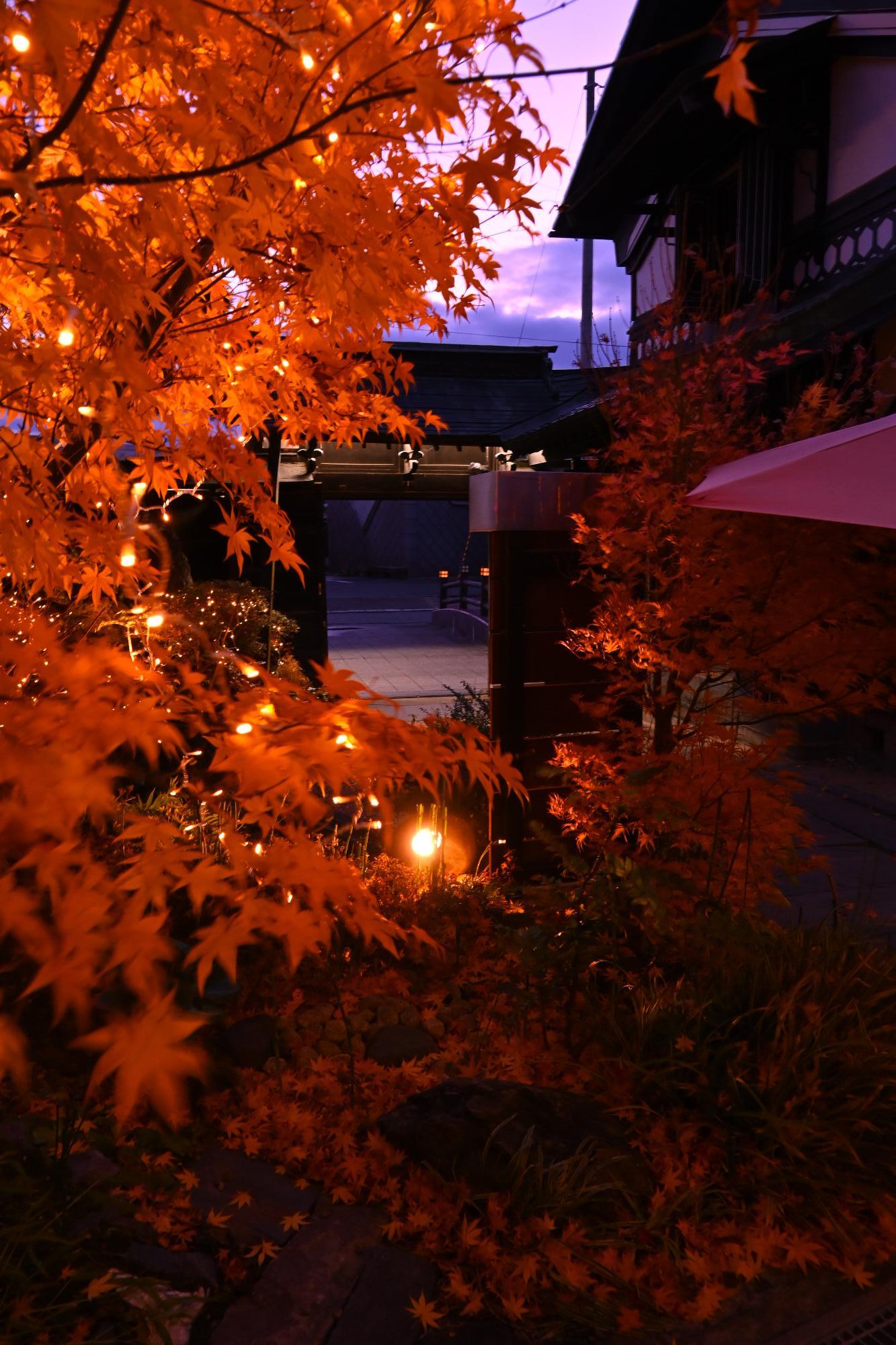 学生部門最優秀賞【虜】