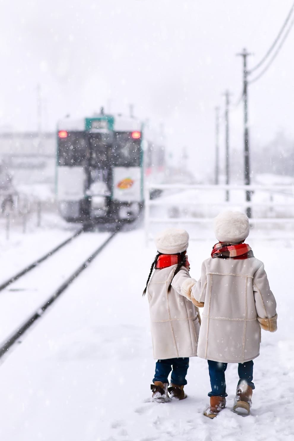 一般部門最優秀賞【雪景色と列車】