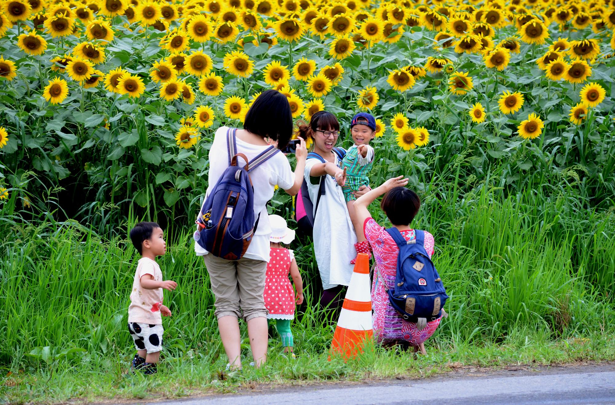ひまわりと写真を撮っている人たち