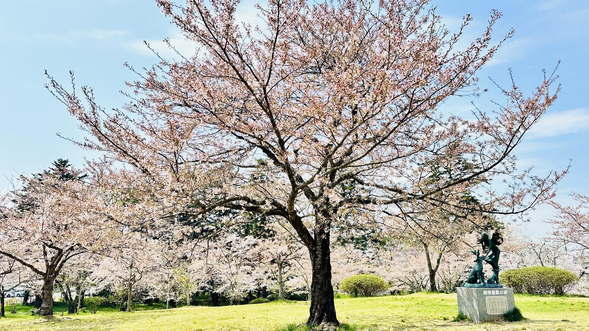 R8-4-15荒雄公園1