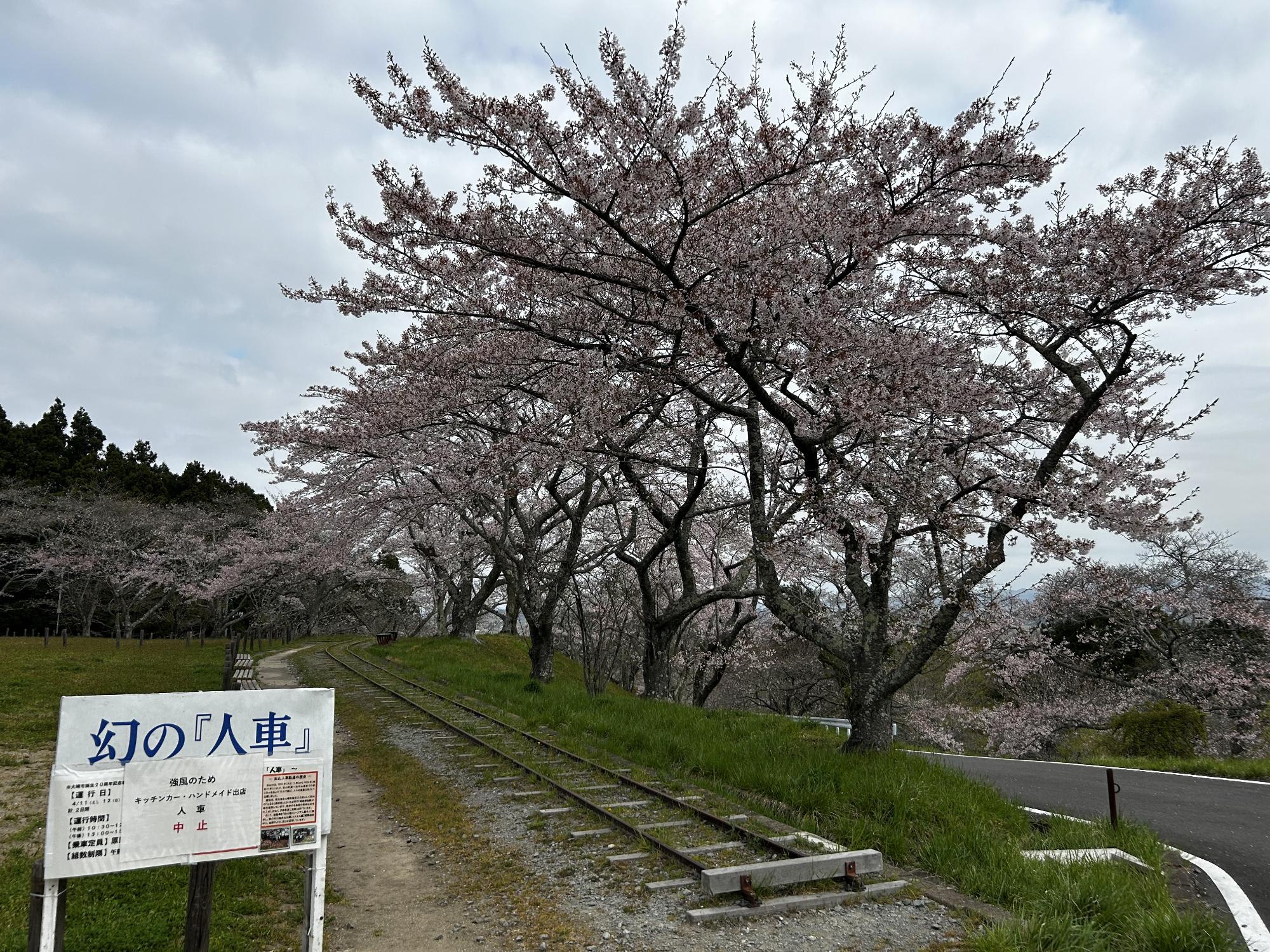 R8-4-15御本丸公園
