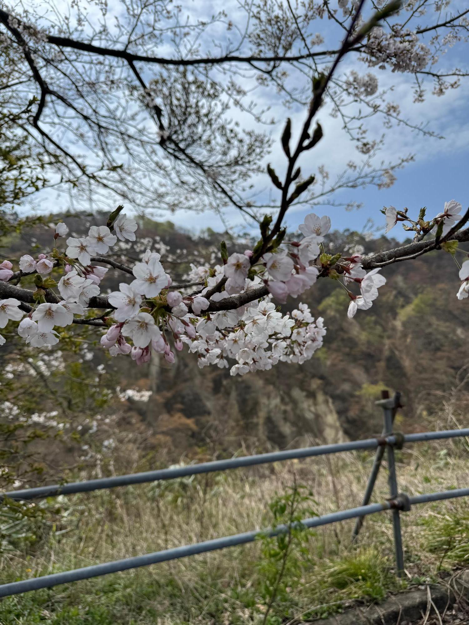 R8-4-15鳴子公園2