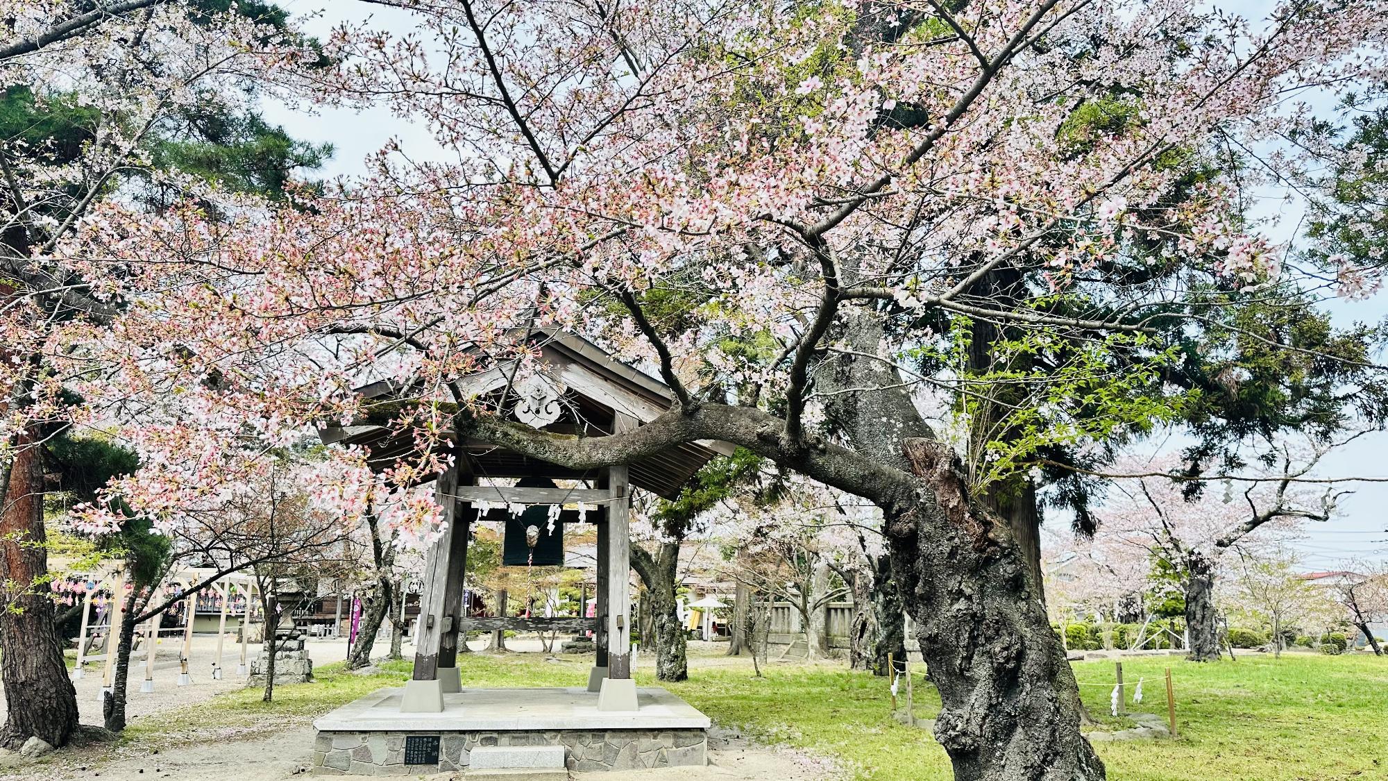 R8-4-15諏訪公園1