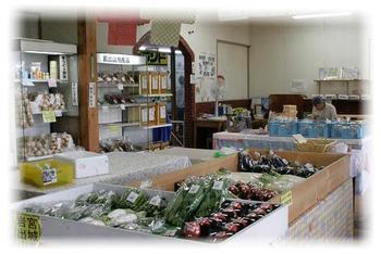 野菜が台の上きれいに並べられその奥には冷蔵の陳列棚に商品が並んでいるグリーンアップ店内の写真