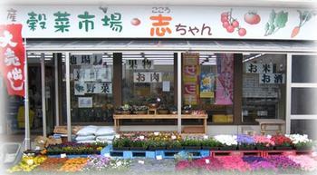 色とりどりの花が並び、穀菜市場・志ちゃんと書かれた看板がある入り口付近の写真
