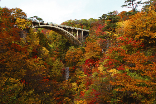 鳴子峡の紅葉