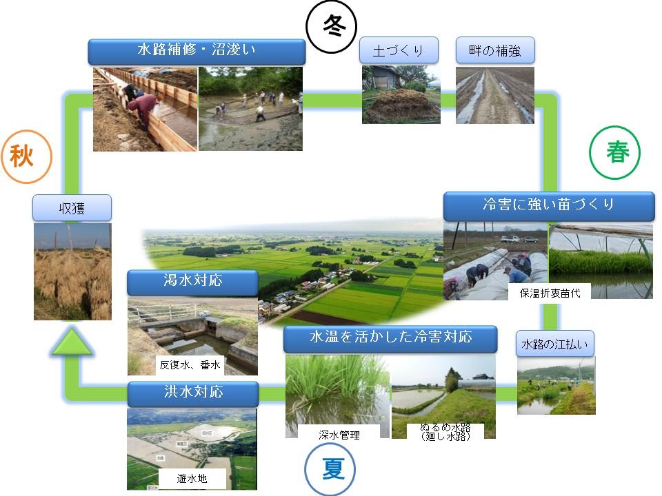 大崎耕土の巧みな水管理と水田農業の概要図