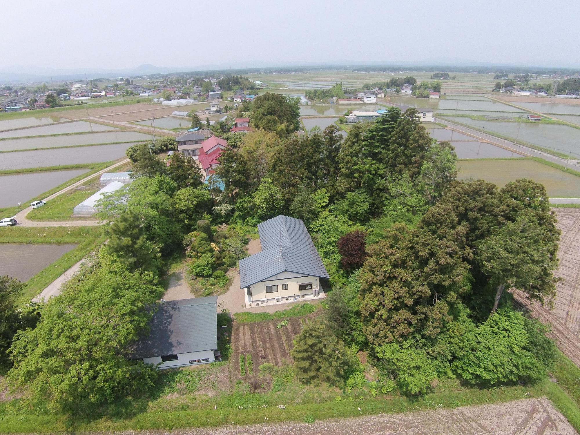 水田の中で周囲を木々に囲まれた1件の居久根の写真