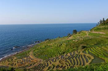 山の斜面に作られた棚田とその向こうに広がる日本海の写真