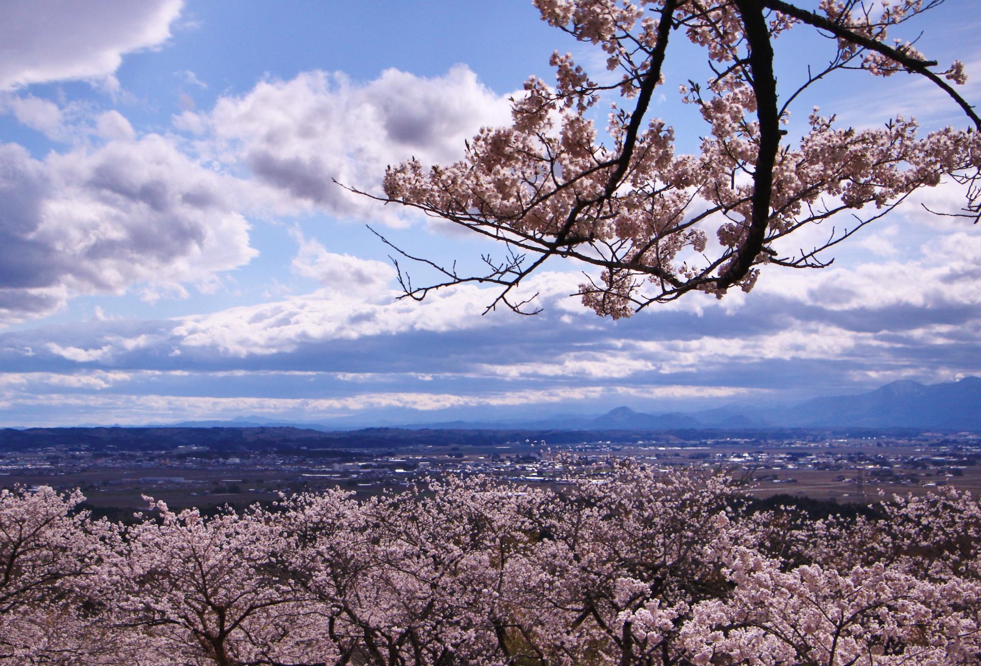 加護坊山からの眺望写真