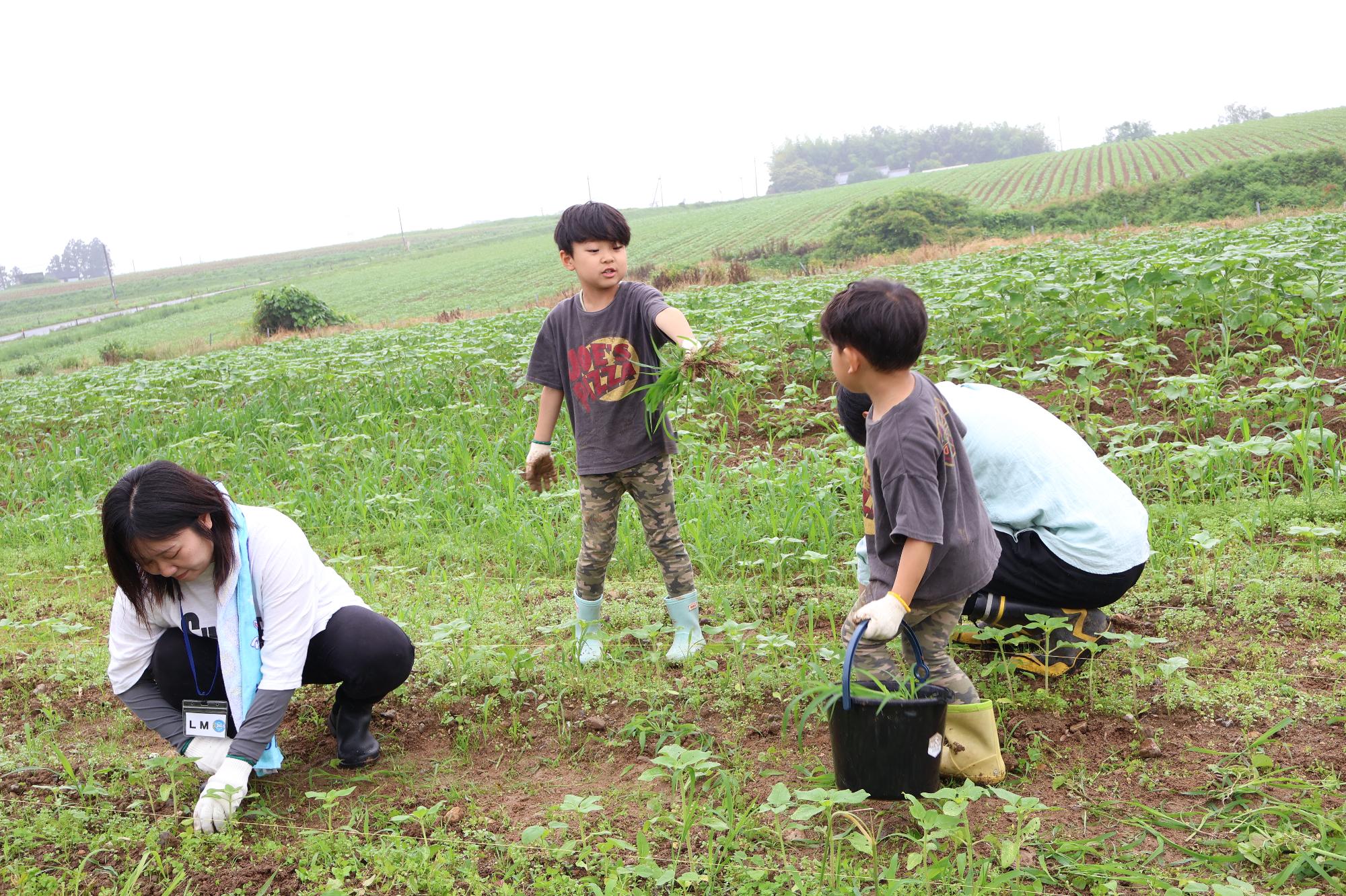 親子で草とりをしました