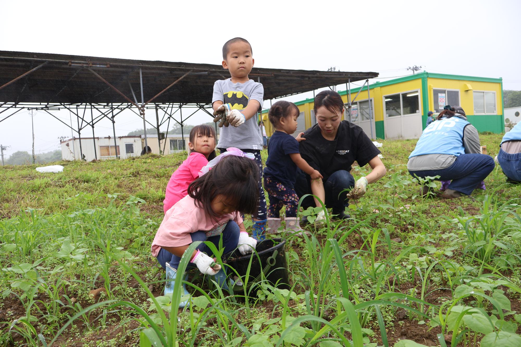 親子で草とりをしました