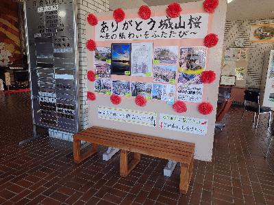 城山公園の桜で作ったベンチ