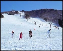 右側にはリフトがあり、西斜面に積もった雪の上でスキーを楽しむ人達の写真