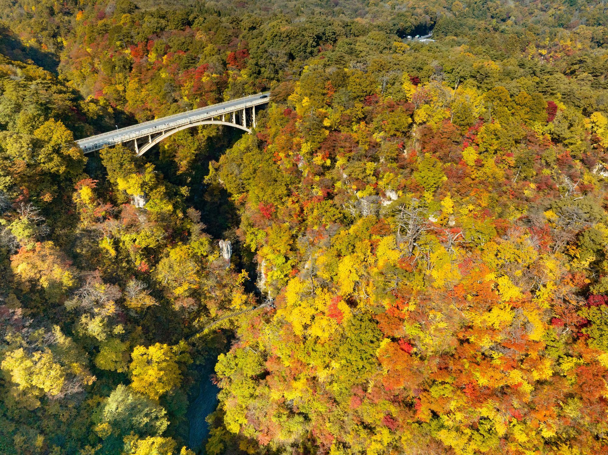 鳴子峡の色づいた紅葉の写真