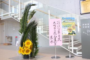 いけばな草月流 大崎市の花・ひまわり展示と書かれた掲示版の横に大きな満開の黄色のひまわりが大きな背の高いソテツの葉の前生けられている写真