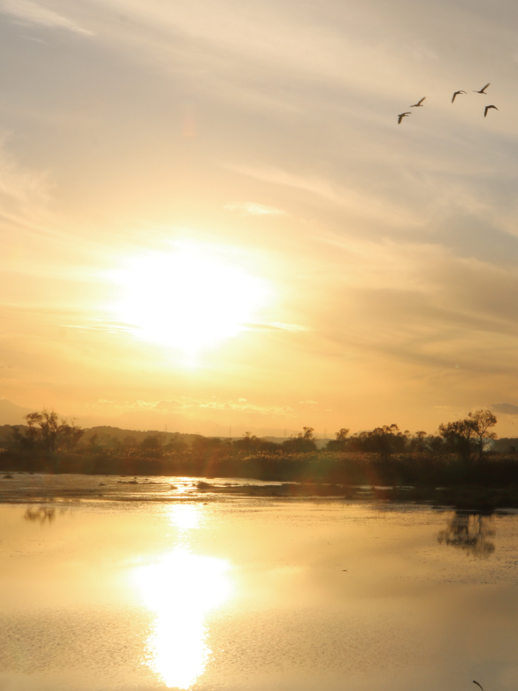 夕日と蕪栗沼