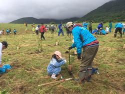 帽子を被ってる女子児童が男性の手を借りながら初めての植樹に挑戦している写真