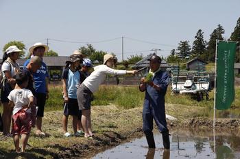 青色の作業を着た酒井さん（右）が田んぼの中に入って、苗の塊を持って田植えの指導を参加者の皆さんに行っている様子の写真
