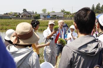 苗の塊を持って説明をしいる坂井農産の坂井さんと、その周りに集まった参加者の写真