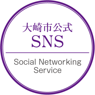 SNS