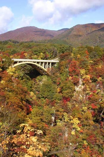 紅葉で色づいている山並みに橋が架かっている鳴子峡の写真