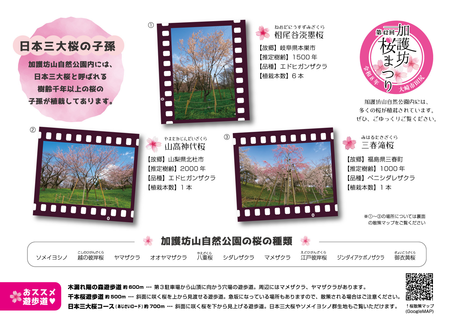 三大桜説明