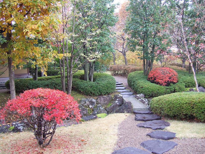 秋の季節で、赤や黄色に紅葉で木々が色づいており、石畳のある綺麗な庭園の写真