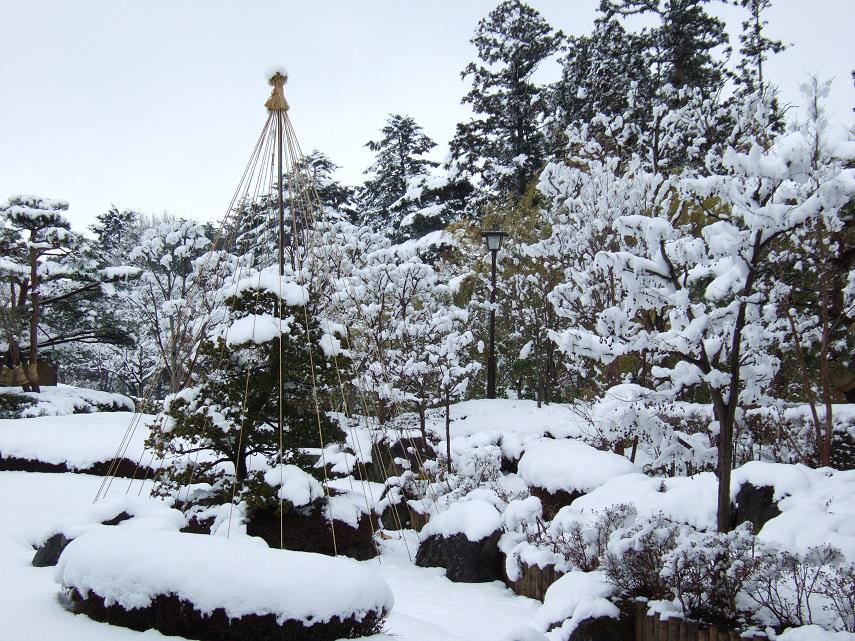 庭園の木々や庭に真っ白な雪が降り積もっている写真