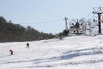スキーを楽しむ人達が写っている上野々スキー場の写真