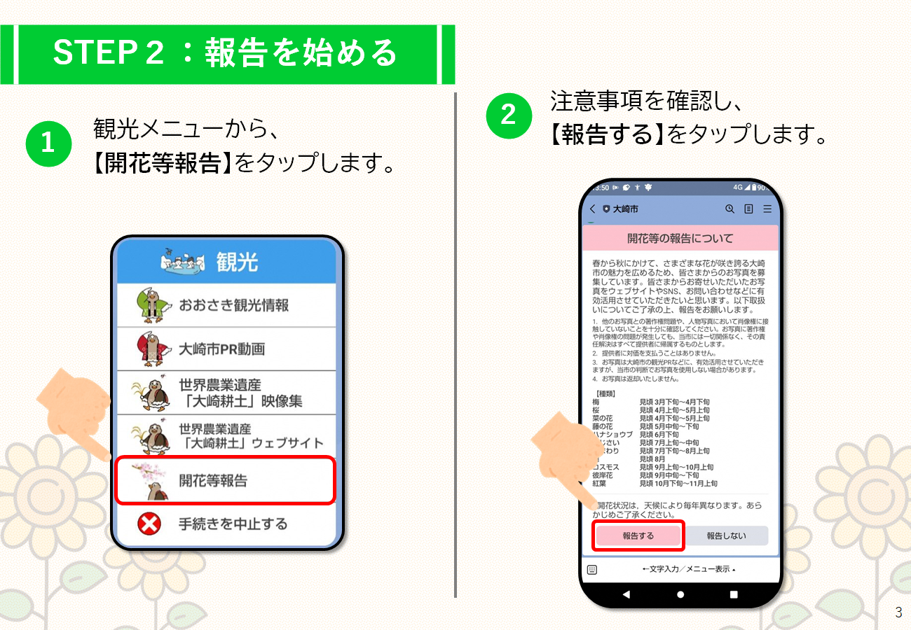 開花報告マニュアル2