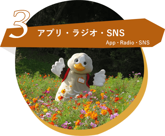 3 アプリ・ラジオ・SNS App･Radio･SNS